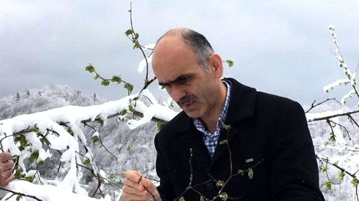 Fındıkta Don Tehlikesi Üreticiyi Tedirgin Etmeye Başladı