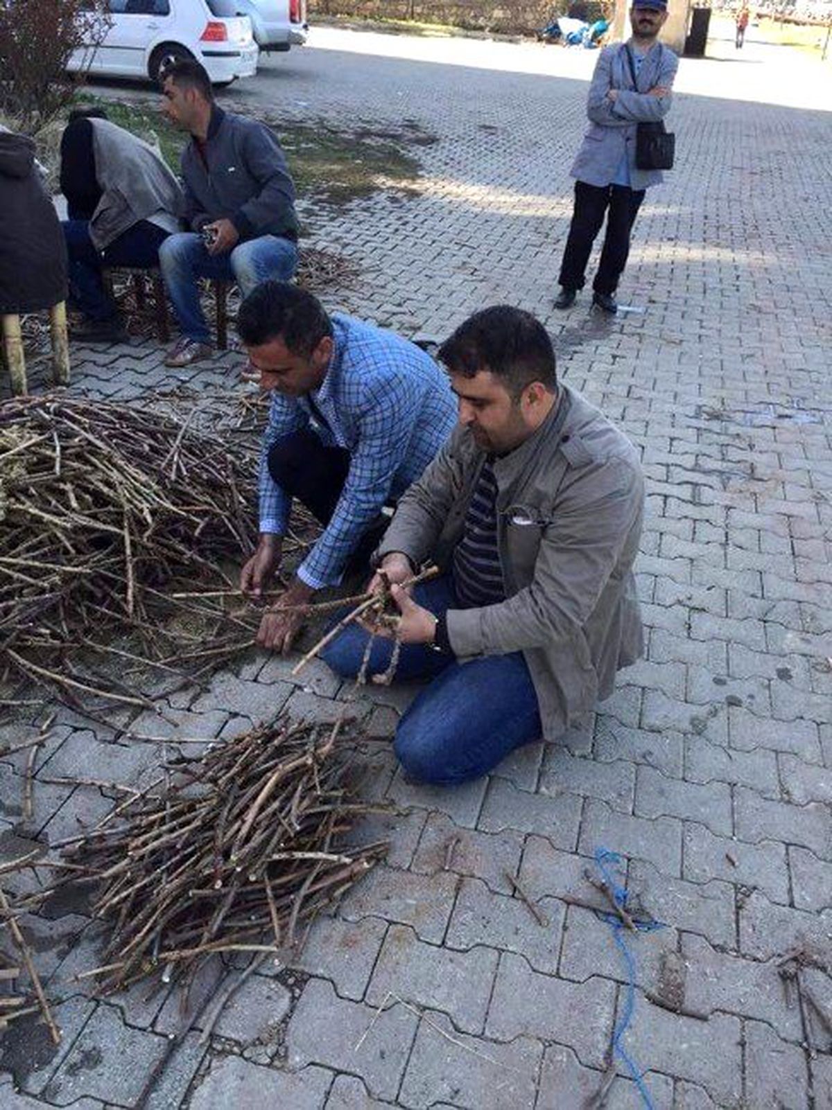 Gercüş Üzümünün Çeşitliliği Araştırılacak