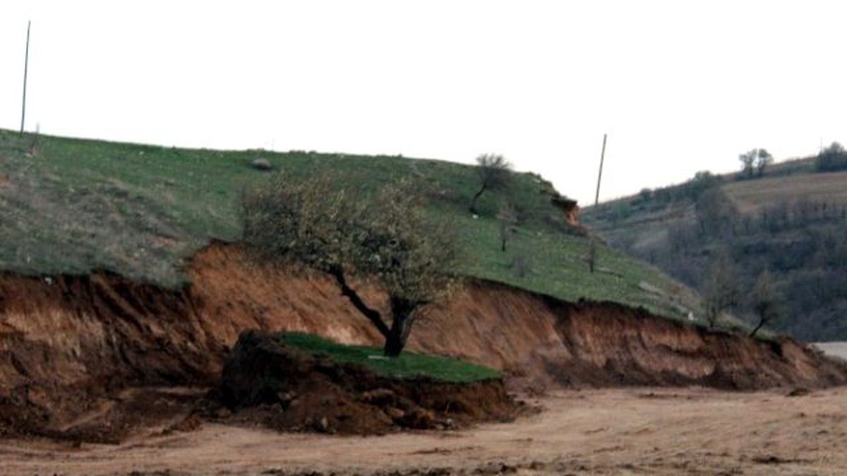 İl Özel İdare Ekiplerinin Ağaç Hassasiyeti