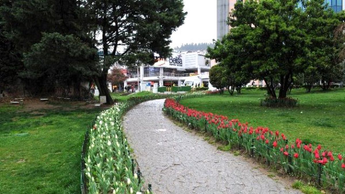 İzmit\'in Parklarında Laleler Açtı