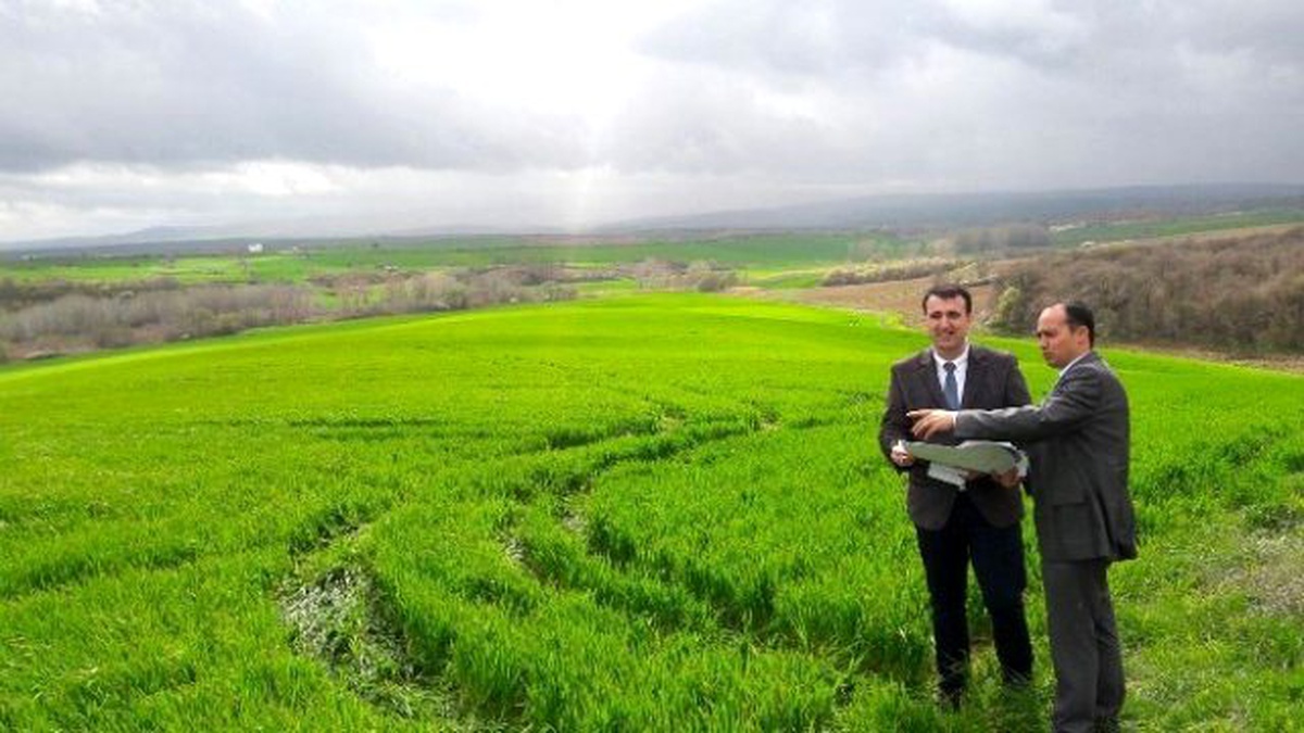 Malkara İlçe Tarım Ekibi Arazi Kontrolüne Çıktı
