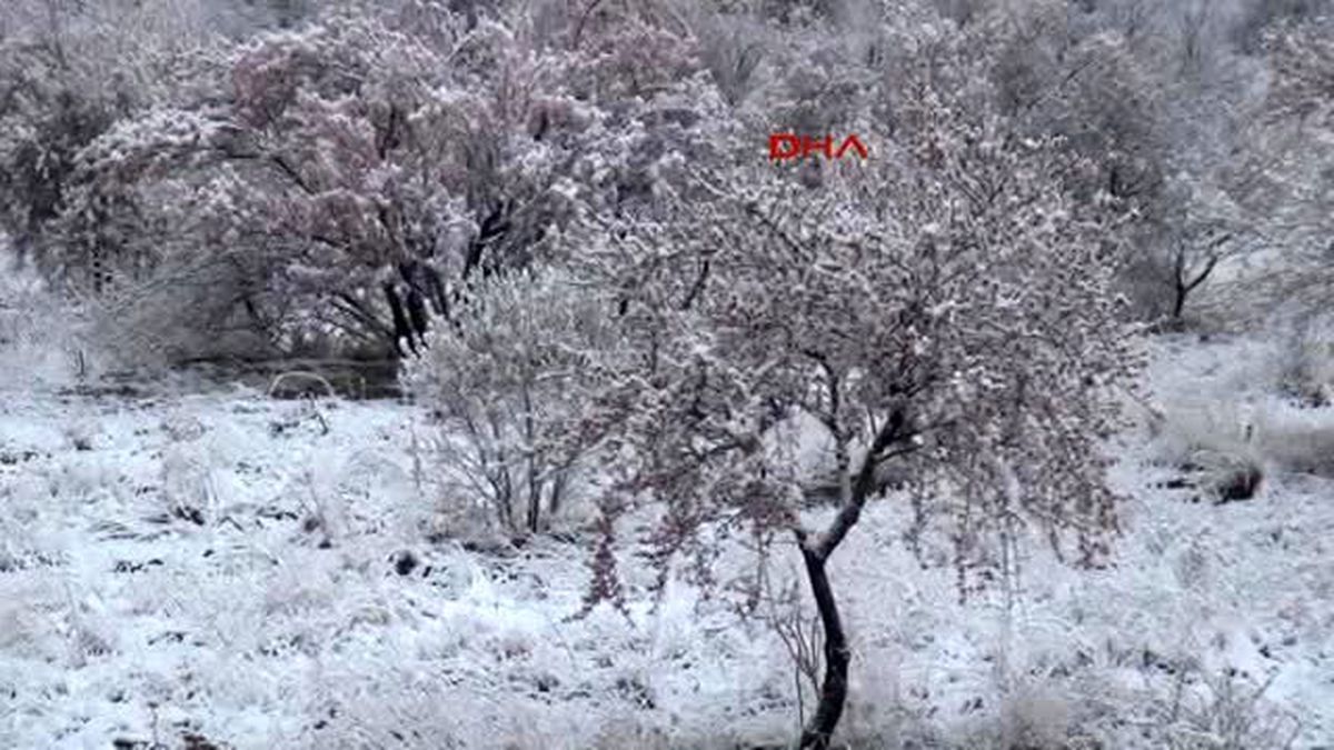 Nevşehir Çiçek Açan Ağaçlara Kar Yağdı