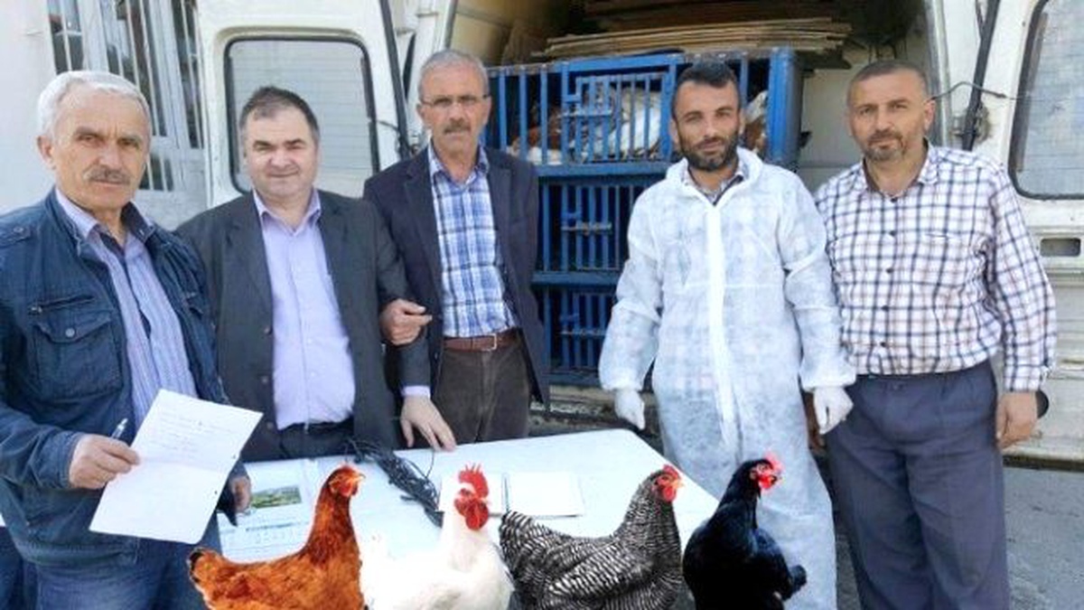 Tarım Kredi\'den Köylüye Tavuk