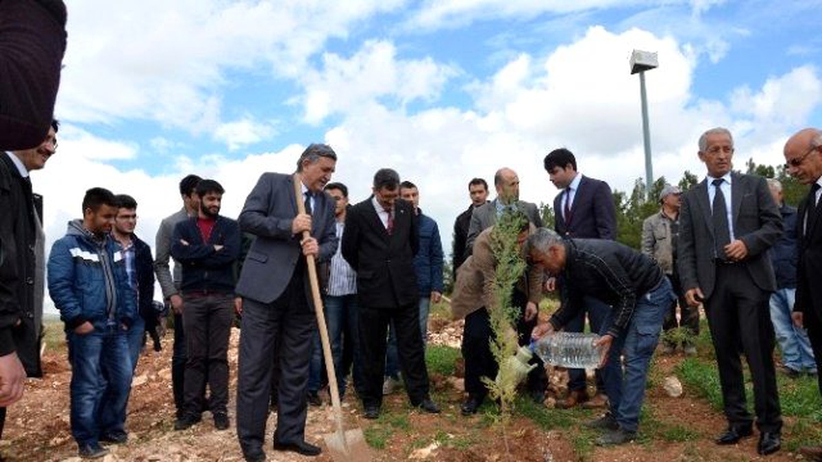 Tıp Bayramını Fidan Dikerek Kutladılar