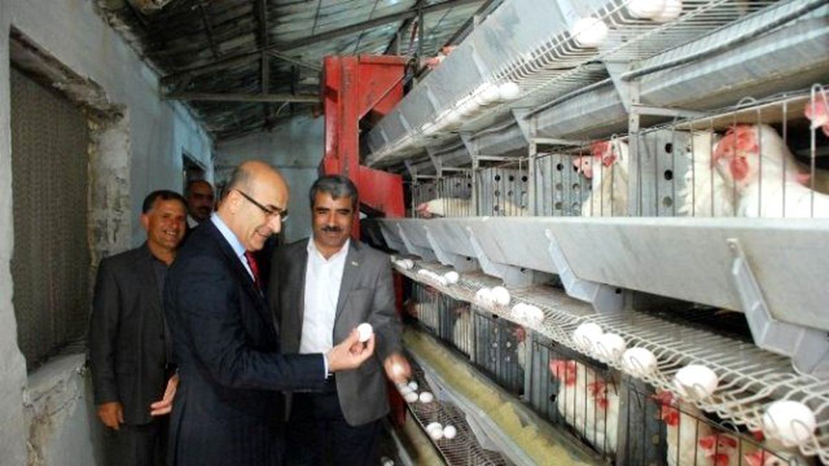 Vali Demirtaş Yumurta Üretim Tesisini Gezdi