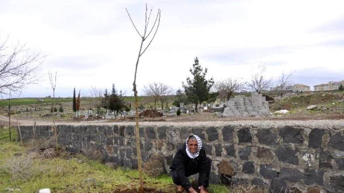 Bir Ağaç Kesen Vatandaşa 30 Ağaç Dikme Cezası Verildi