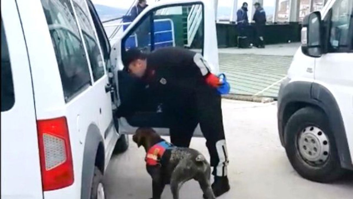Jandarma Kuş Uçurtmuyor