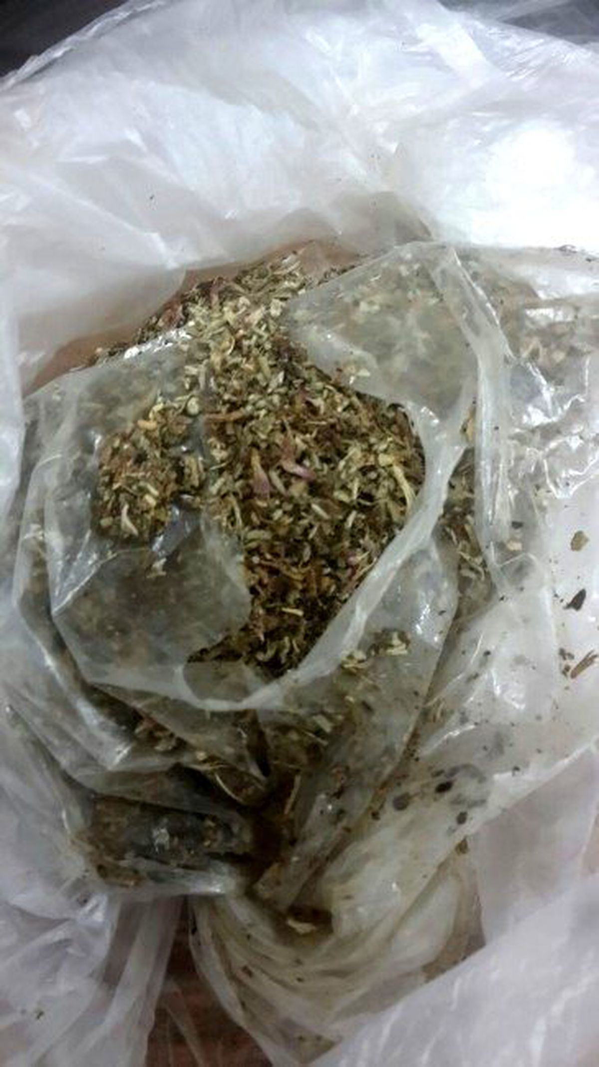 Jandarma Uyuşturucuya Savaş Açtı