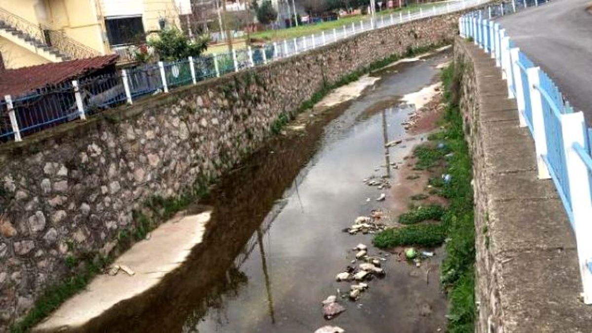 Kendini Asan Kadın Son Anda Kurtarıldı