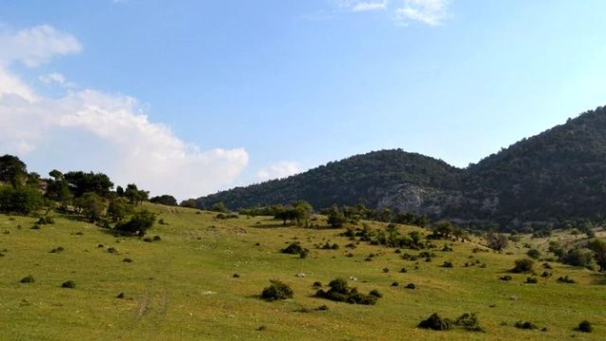 Kırkağaç\'ta 15 Bin 500 Dekarlık Alana Tapulaştırma