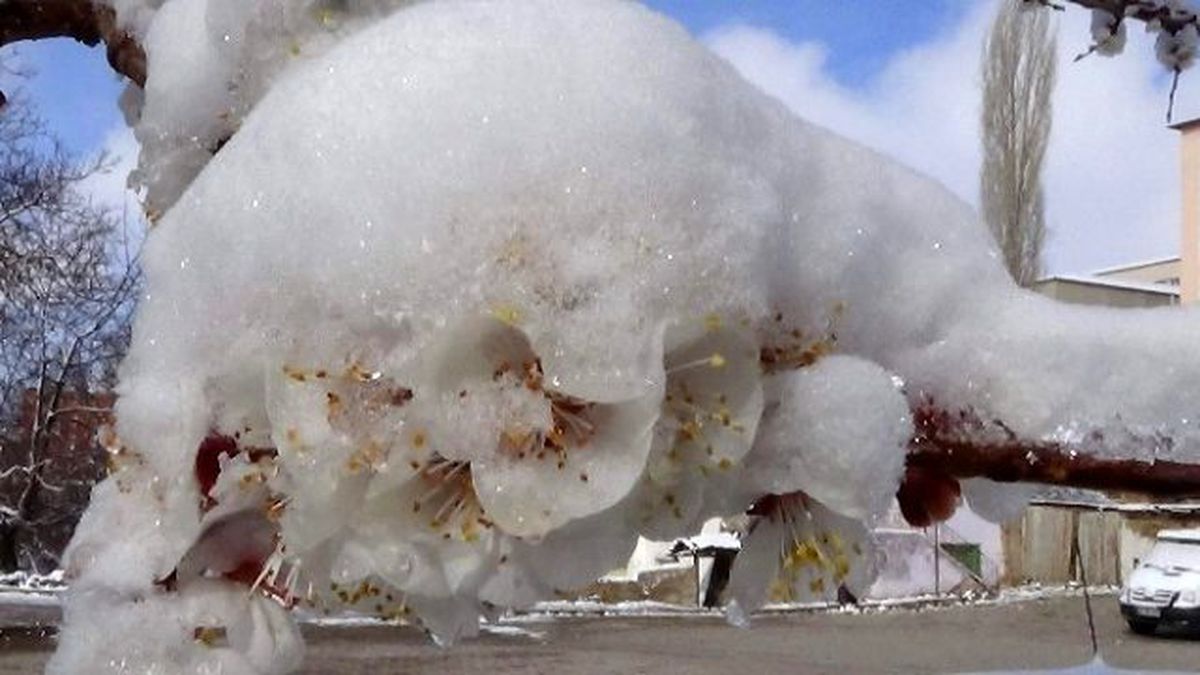 Meteorolojiden Don Uyarısı
