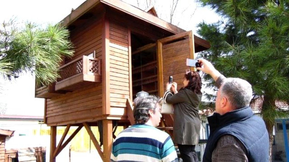 Nilüfer\'in Can Dostlarına Yönelik Çalışmaları Örnek Oldu