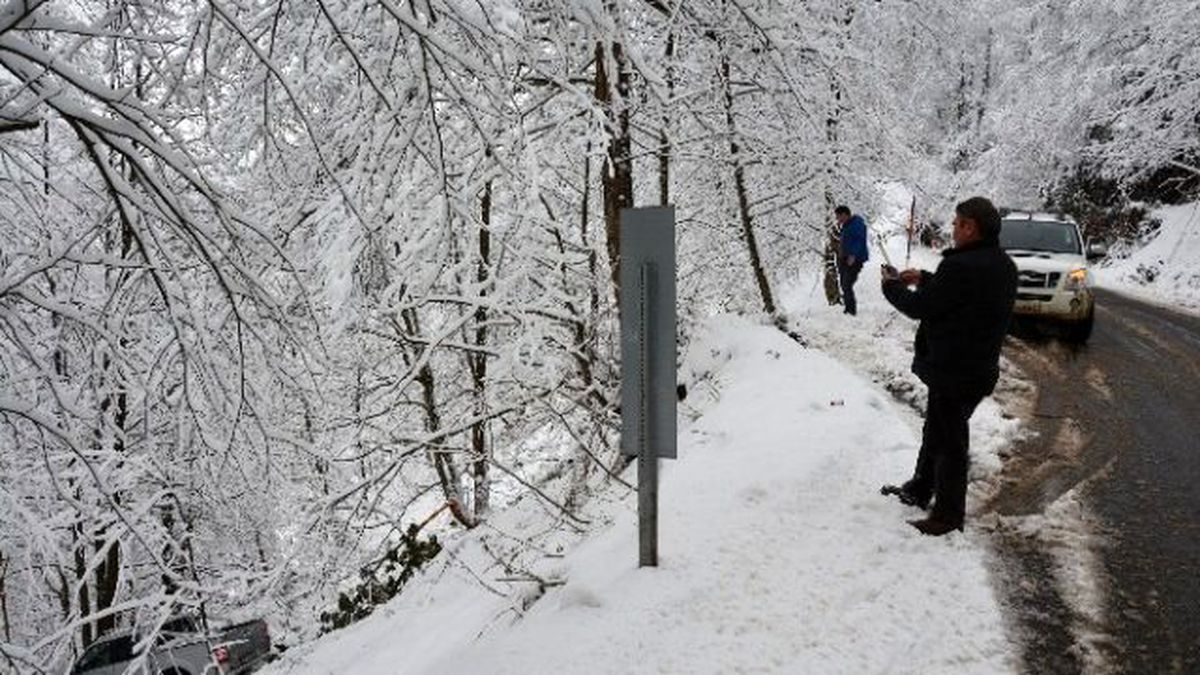 Ordu\'da Trafik Kazası: 1 Yaralı