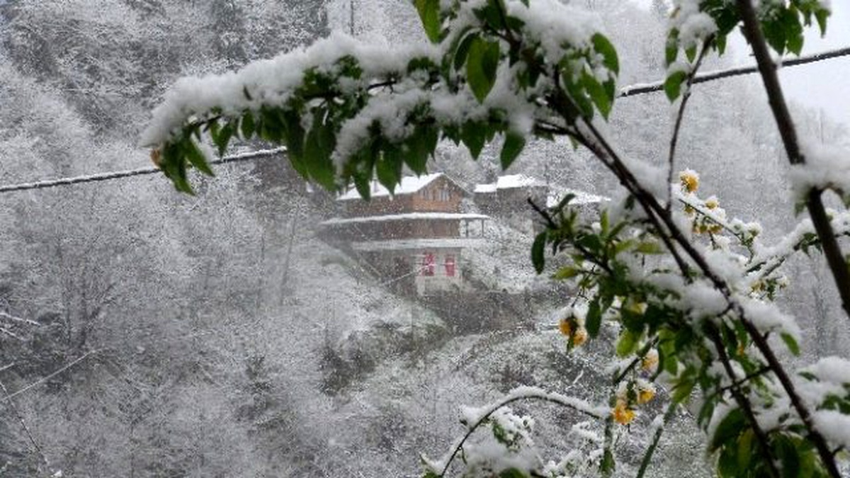 Rize\'de Soğuk Hava ve Kar Yağışı Yüksek Kesimlerde Etkili Oluyor