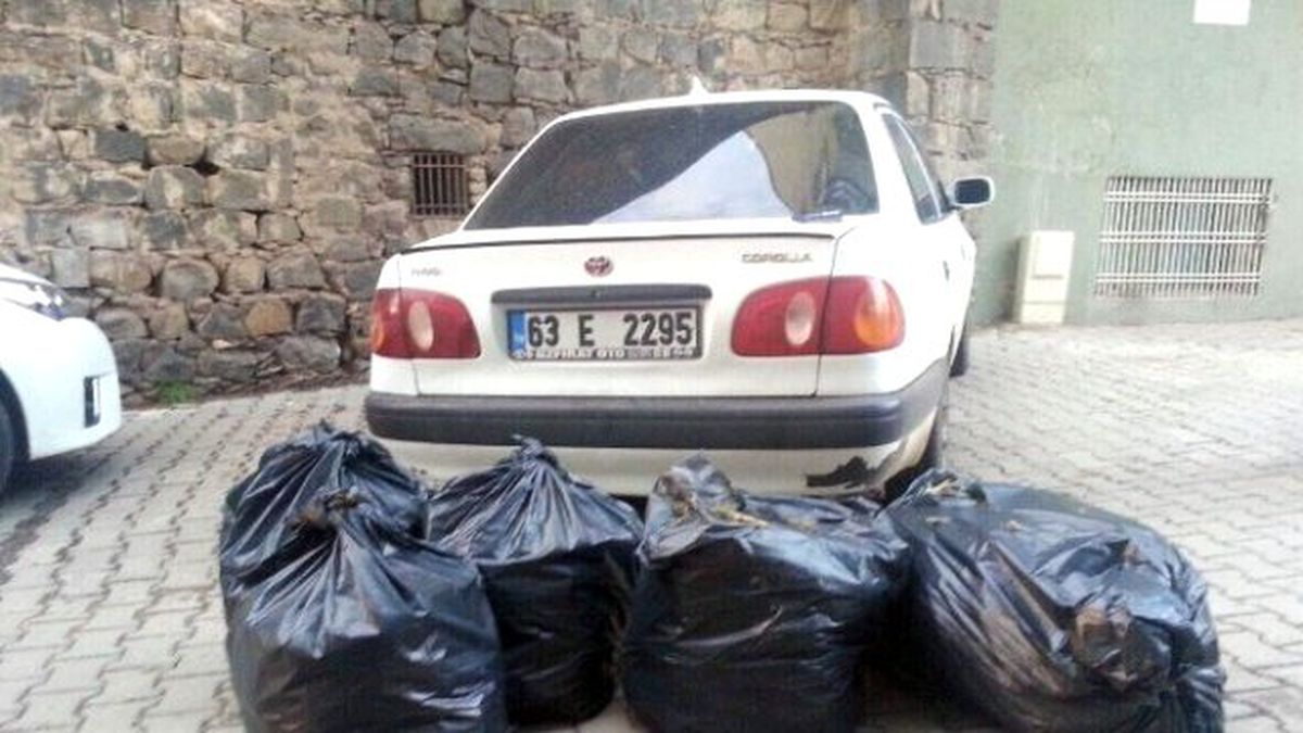 Şanlıurfa\'da 61 Kilo Esrar Ele Geçirildi