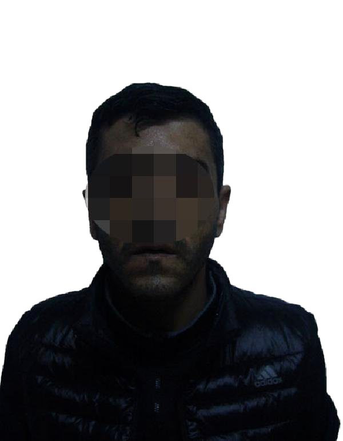 Villanın Köpeğini de Çalan Hırsızlar Yakalandı