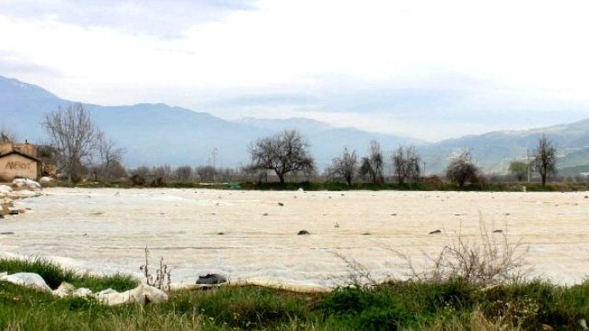 Yaz Patatesine Don Olaylarına Karşı Elyaf Önlemi