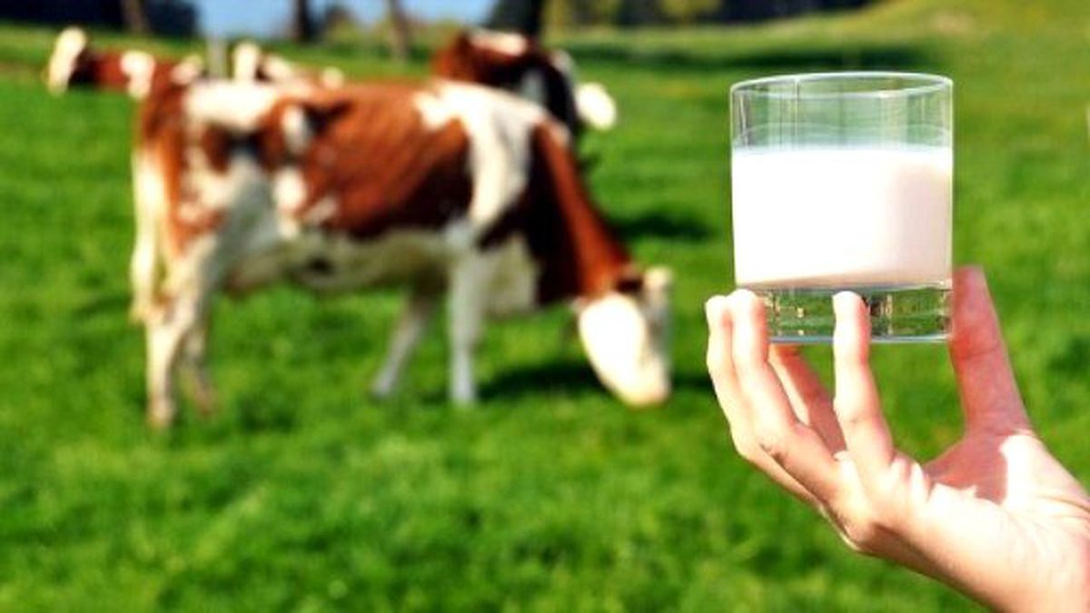 Adü\'den Dünyada Güvenilir Süt Üretimi Projesine Akademik Destek
