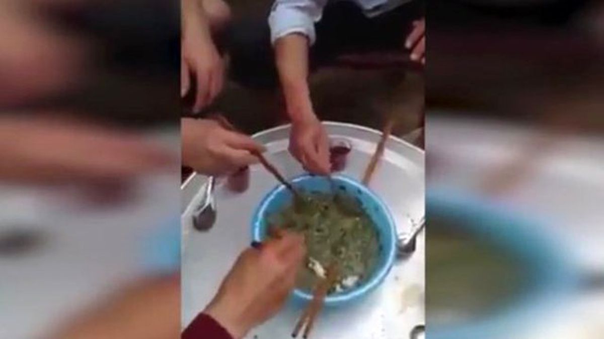 Balıkları Sos İle Karıştırıp Canlı Canlı Yediler