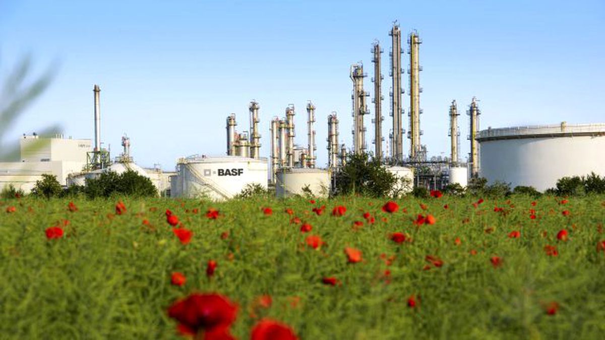 BASF, bu yıl da Dünya Saati Elçisi