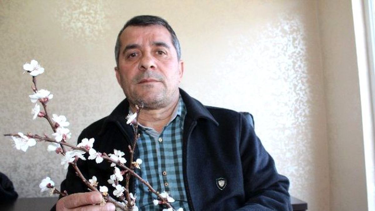Kayısıda Don Riski