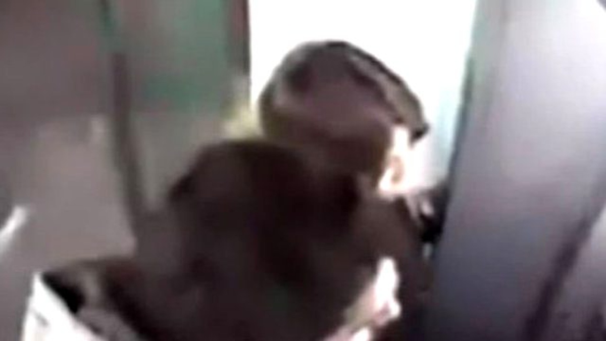 Kredi Kartlarını Kopyalayıp Vurgun Yapan Çeteye Operasyon