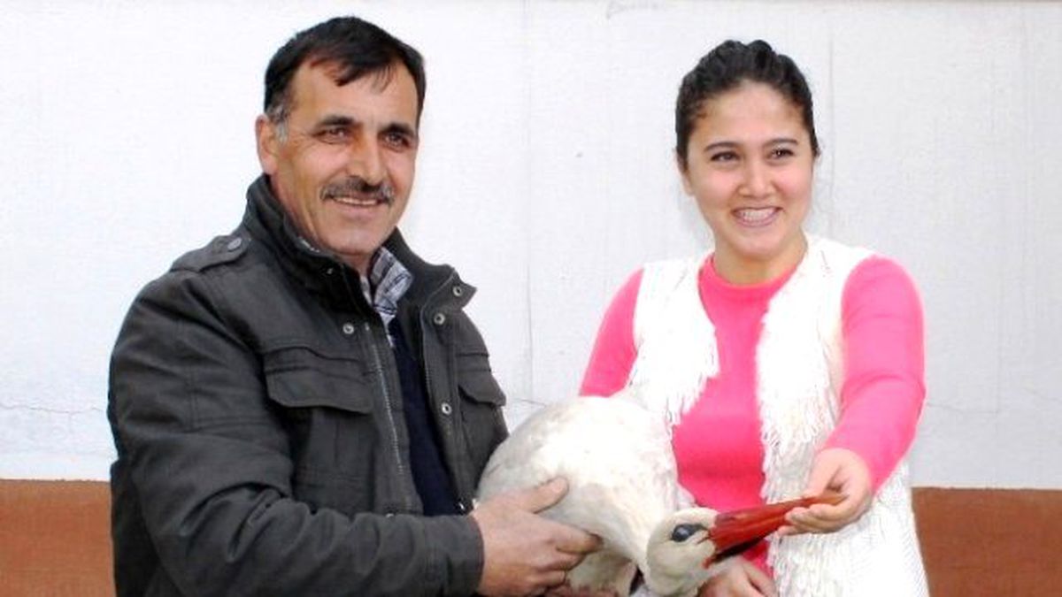 Yaralı Leylek Tedavi Altına Alındı
