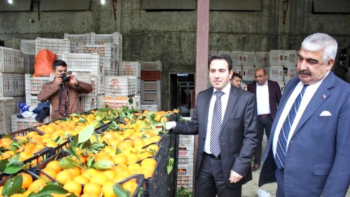 Adana\'dan Güvenlik Güçlerine 25 Ton Portakal