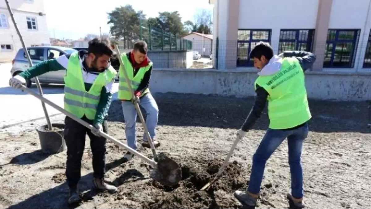 Erzincan\'da Ağaçlandırma Çalışmaları Yeniden Başladı