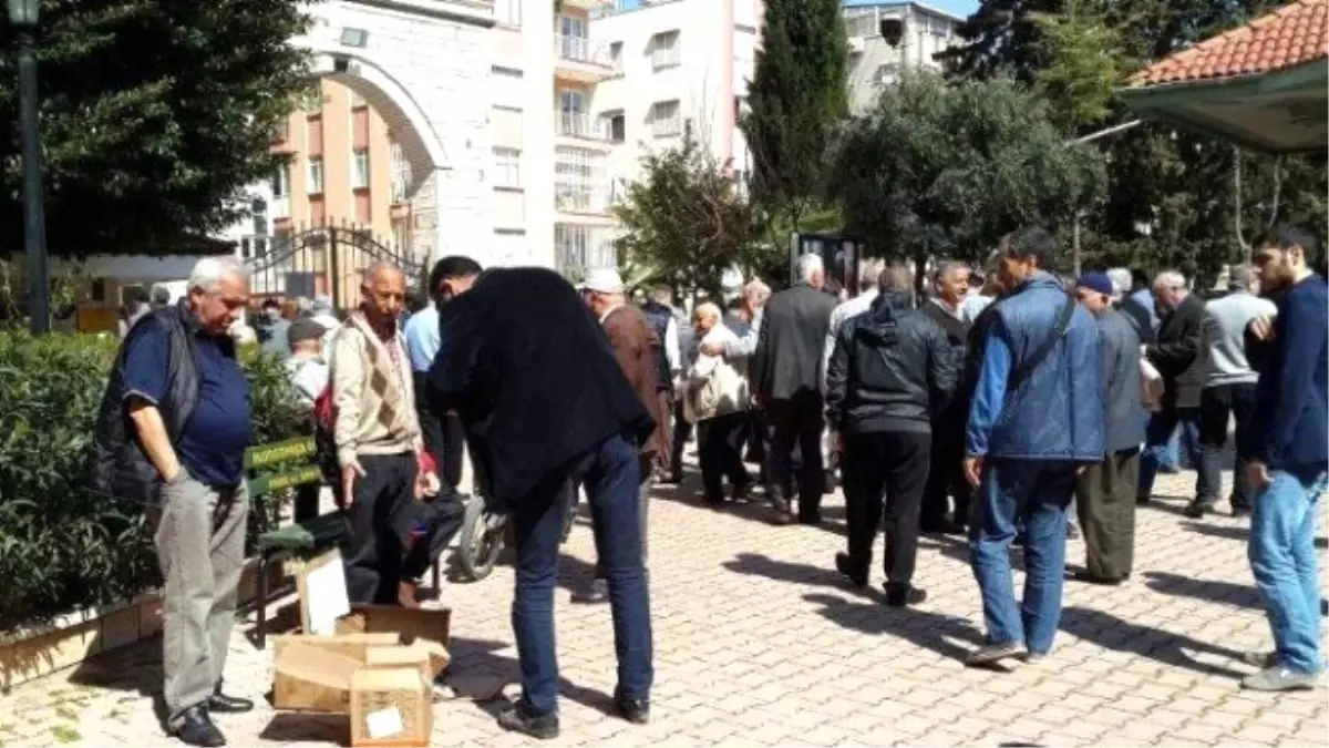 Cami Bahçesinde Yaralı Köpeğe Yardım Kampanyası