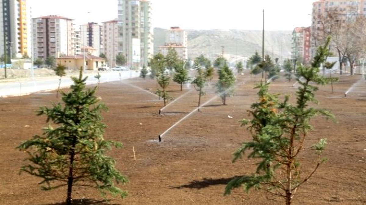 Melikgazi Belediyesi Doğaya 25 Bin Fidan Armağan Edecek