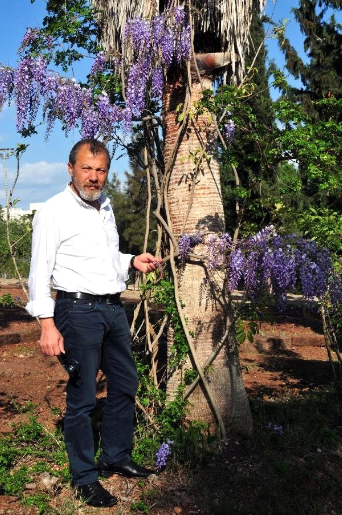 Türkiye\'nin Endemik Bitki Türleri Botanik Bahçesi\'nde Yaşatılacak