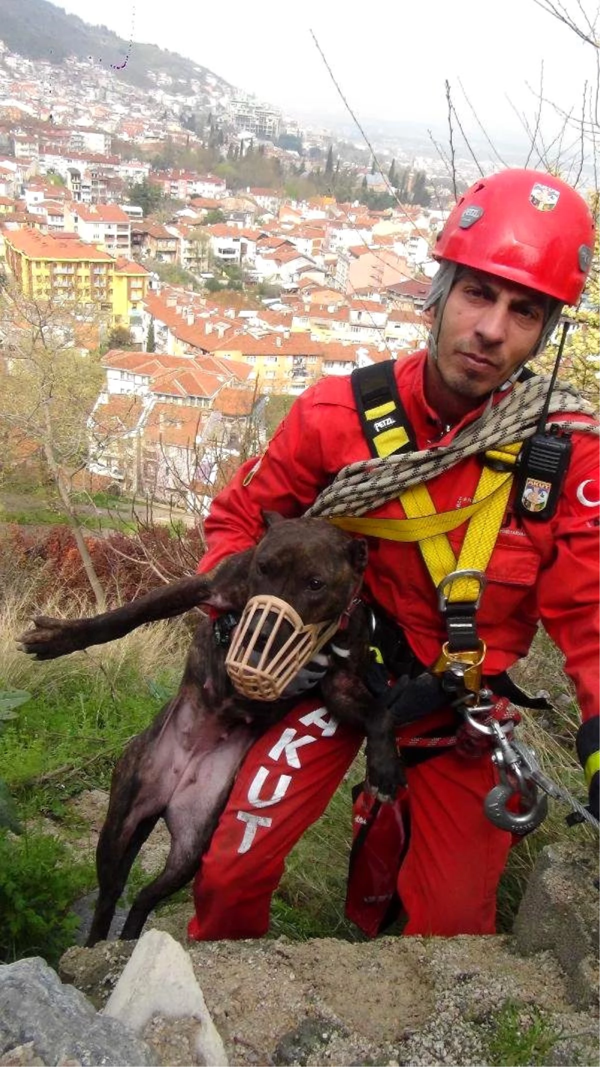 2 Gündür Uçurumda Mahsur Kalan Köpeği Akut Kurtardı