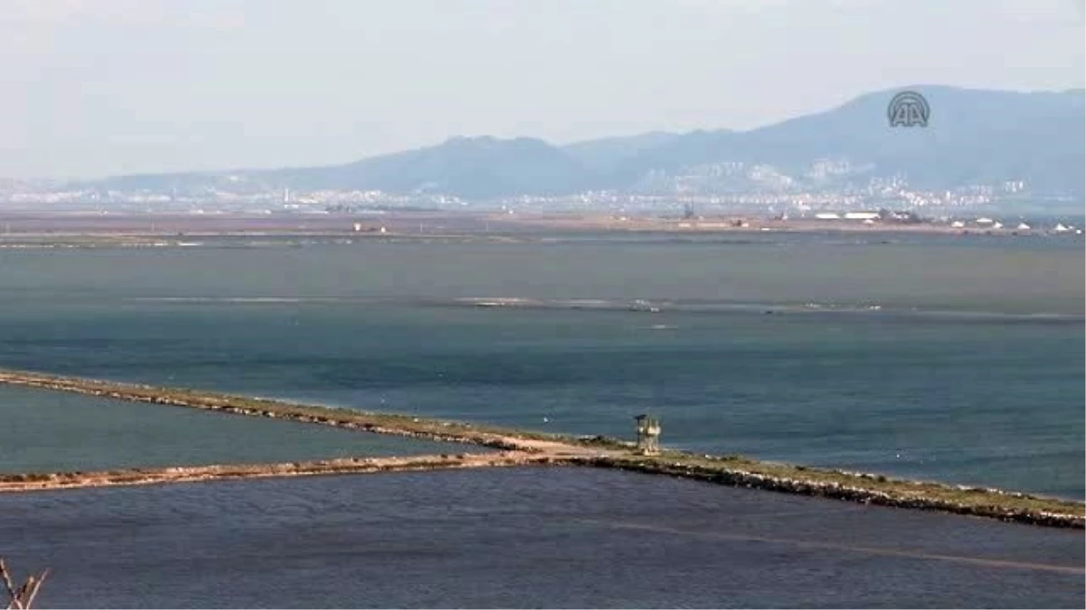 Baharın Müjdecileri "Kuş Cenneti"Ne Geliyor