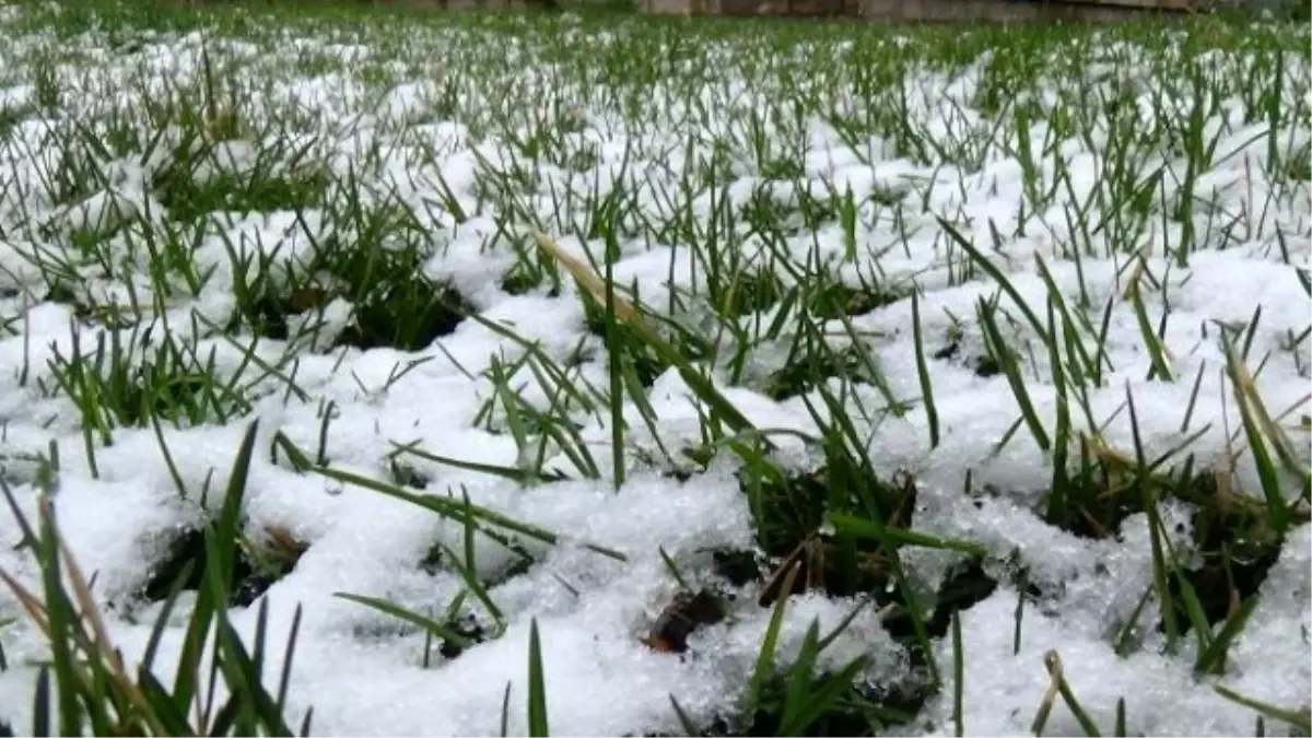 Erzincan Güne Kar ile Uyandı