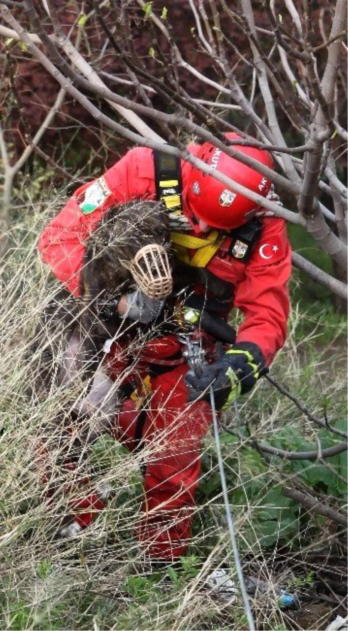 Uçurum Kenarına Düşen Köpeği Akut Kurtardı