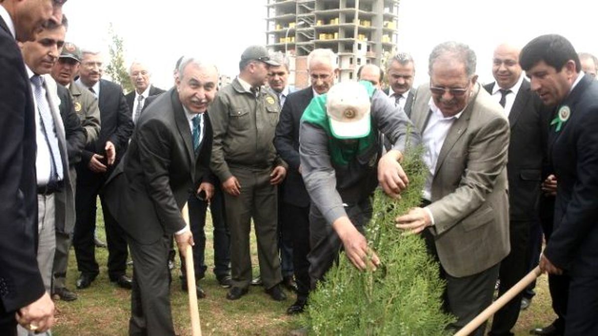 Adana\'da Her Yıl 3.5 Milyon Fidan Toprakla Buluşuyor