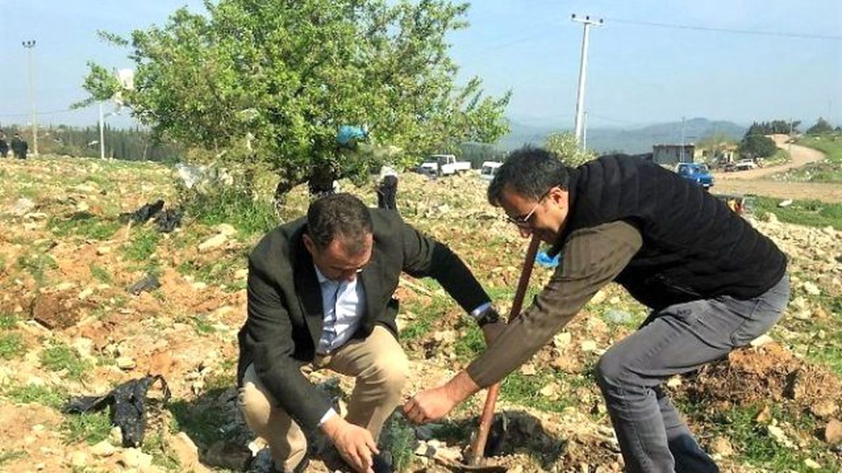Ayvalık\'ta Orman Haftası ve Ağaç Bayramı