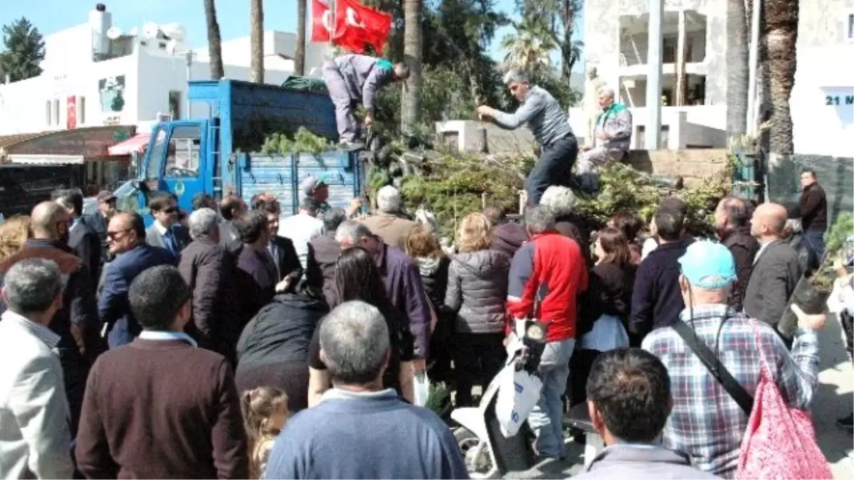 Bir Kamyon Dolusu Fidan Yarım Saatte Bitti