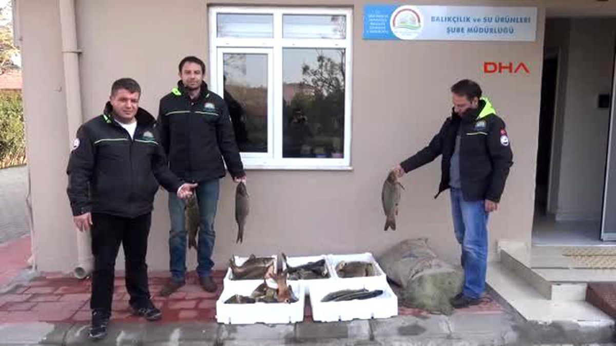 Çanakkale\'de Kaçak Avlanan 100 Kilo Balığa El Konuldu