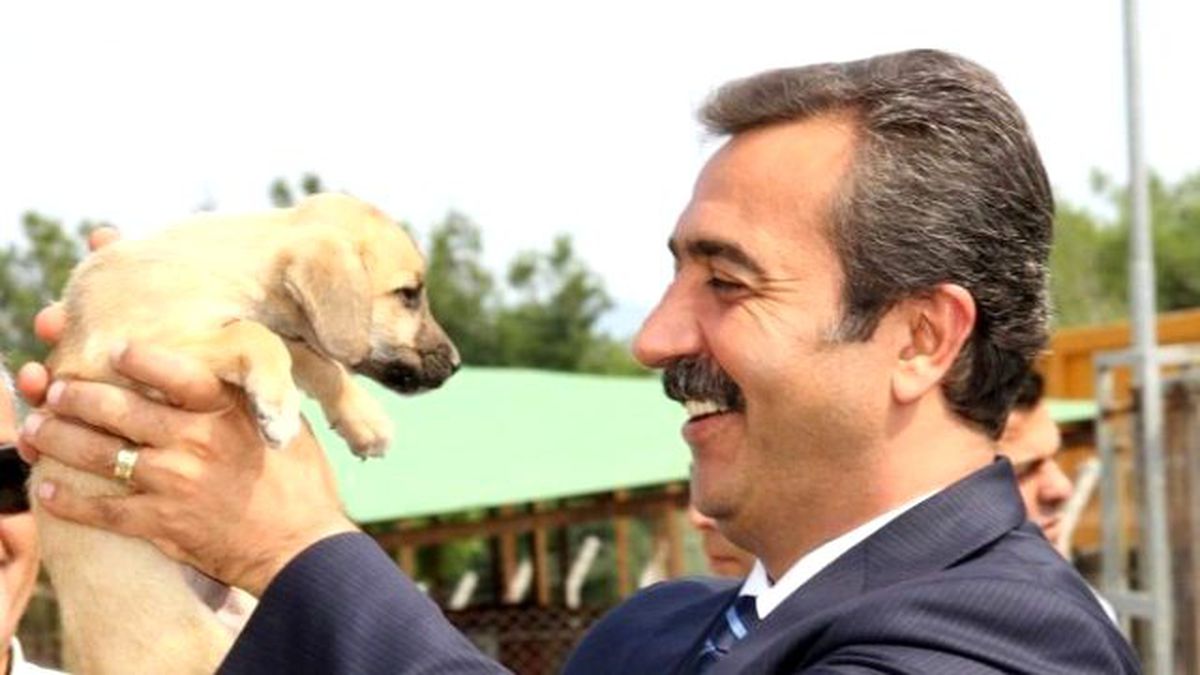 Çukurova\'dan 5 Yıldızlı Barınak Geliyor