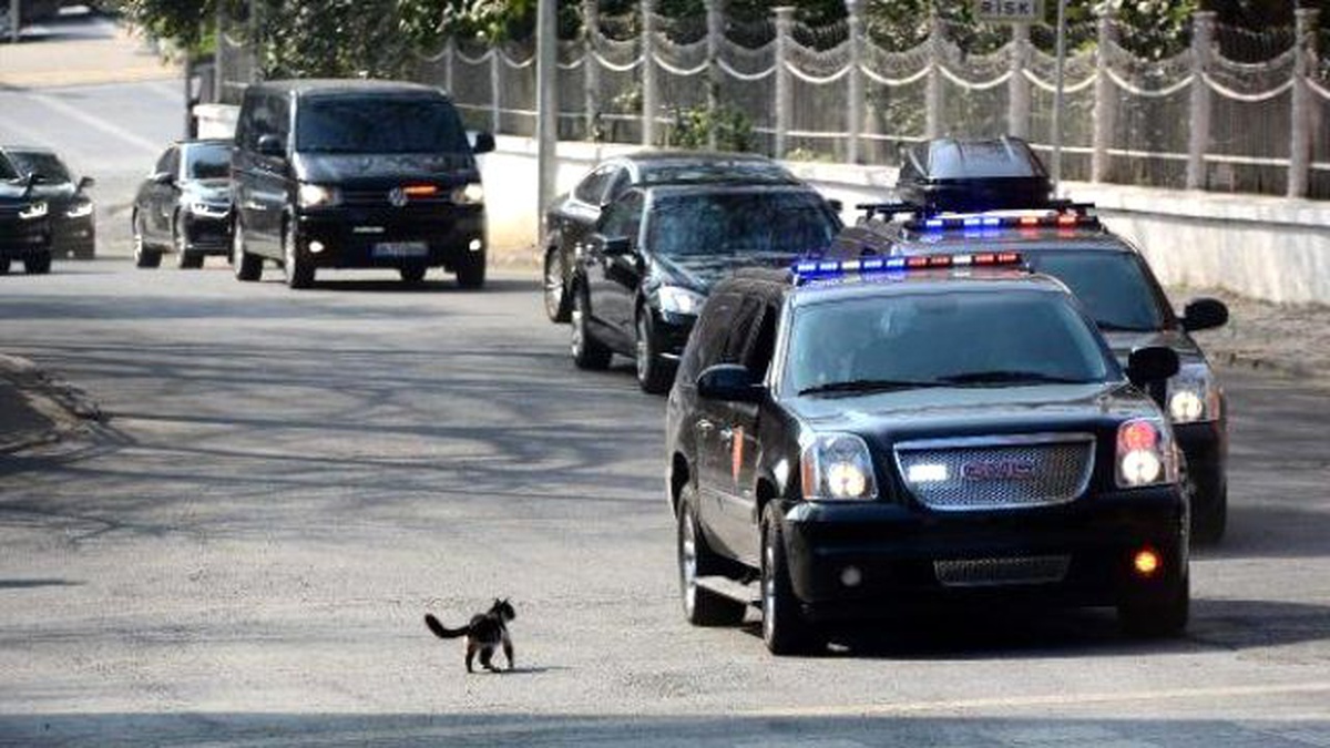 Cumhurbaşkanı Konvoyuna Kedi Sürprizi