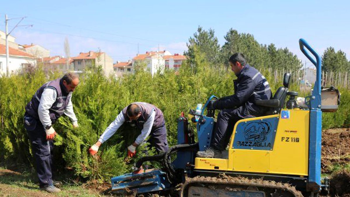 Eskişehir Çiçek Bahçesi Olacak