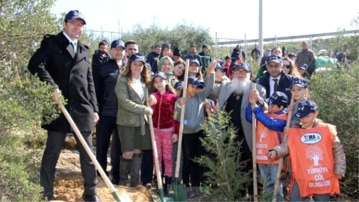 Minik Öğrenciler, Huzurevi Yaşlılarıyla Birlikte Fidan Dikti