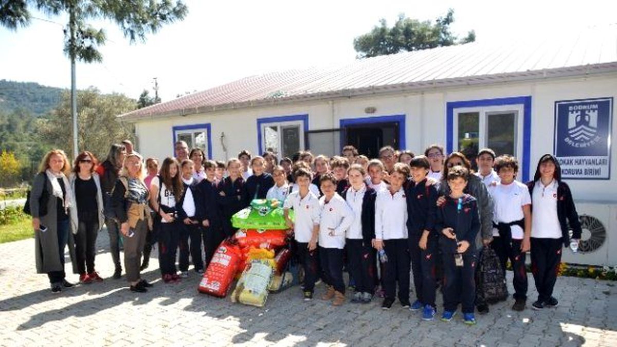 Öğrenciler Topladıkları Paralarla Mama Aldı (Fotoğraflı)