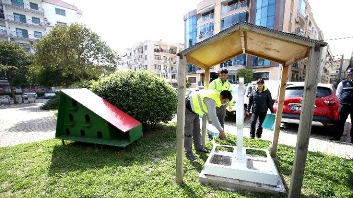 Sokak Hayvanları Veteriner Zabıtasına Emanet