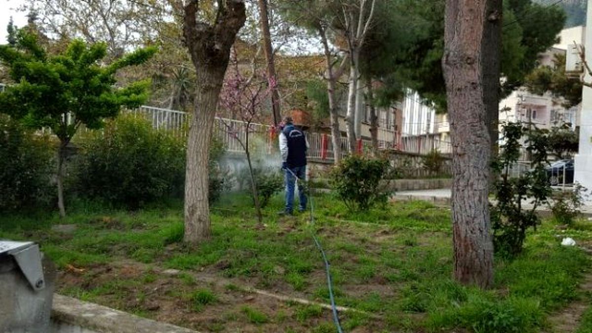 Büyükşehir\'de Öncelik Öğrencilerin Sağlığı