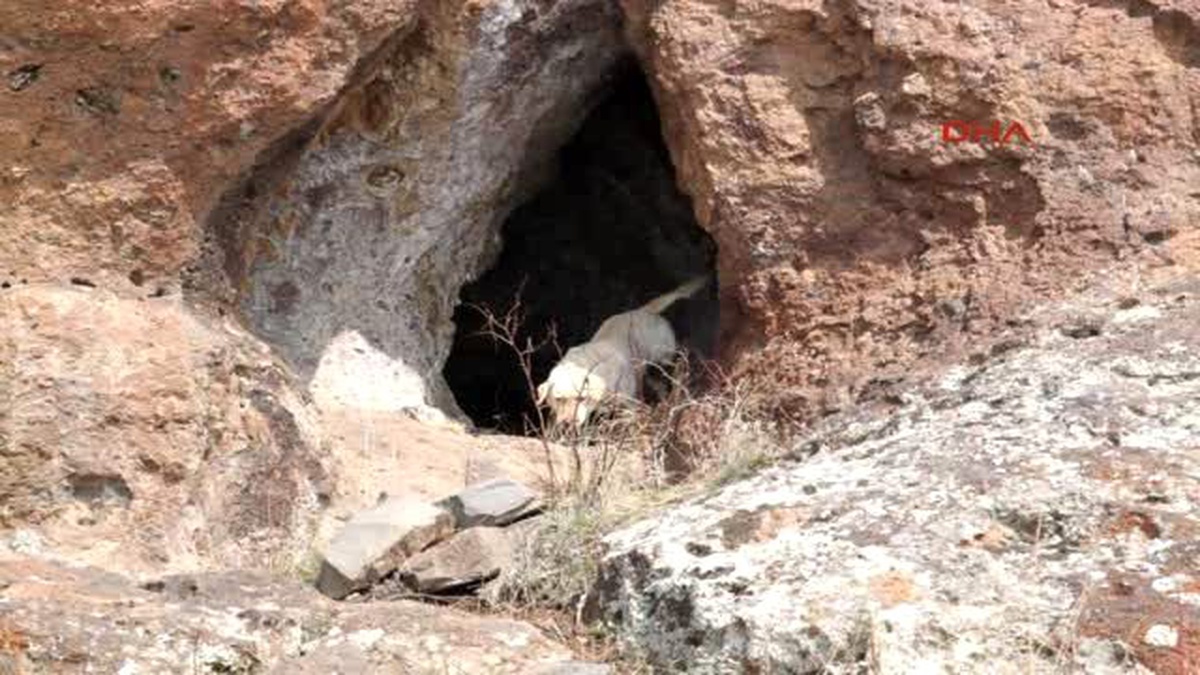 Erzurum Tekman Kırsalında PKK\'nın Kış Üstlenmesine Darbe