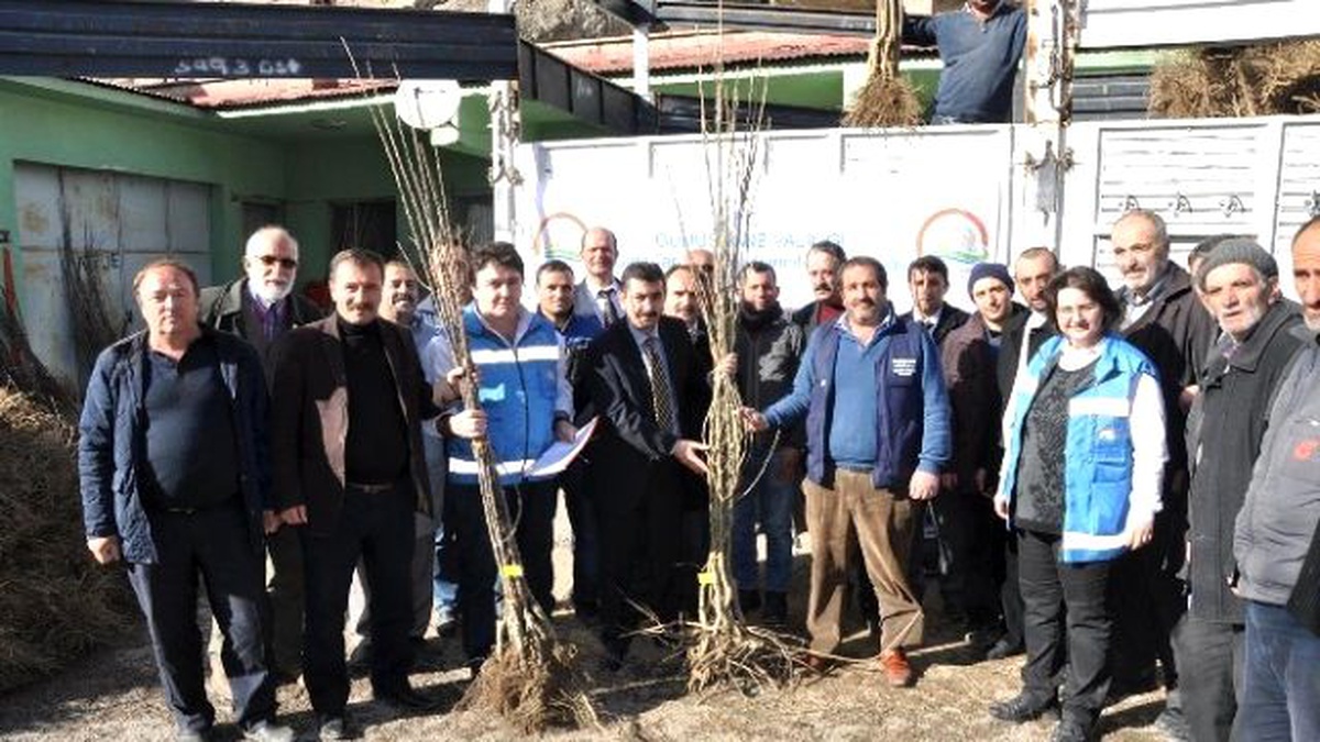 Gümüşhane\'de Çiftçilere Meyve Fidanı Dağıtımı Yapıldı