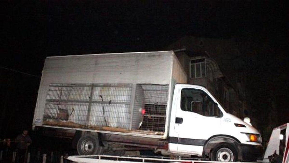 Mağaza Yalanı ile NATO Boru Hattından Mazot Çalacaklardı